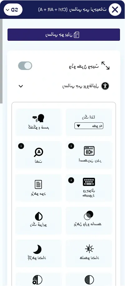 sindhi website accessibility widget