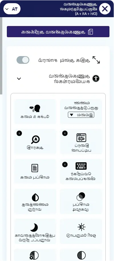 tamil website accessibility widget